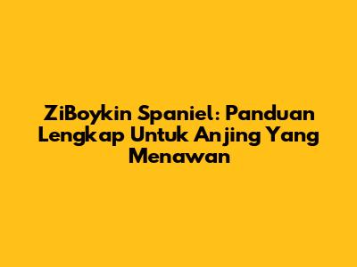 ZiBoykin Spaniel: Panduan Lengkap Untuk Anjing Yang Menawan