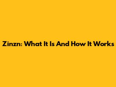 Zinzn: What It Is And How It Works