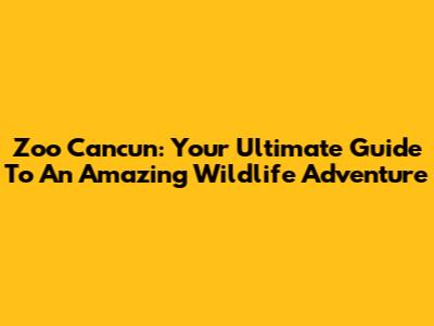 Zoo Cancun: Your Ultimate Guide To An Amazing Wildlife Adventure