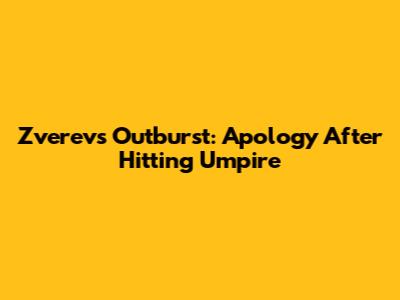 Zverev's Outburst: Apology After Hitting Umpire