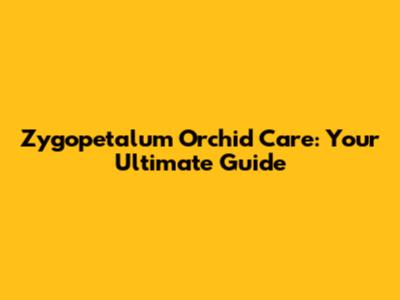 Zygopetalum Orchid Care: Your Ultimate Guide